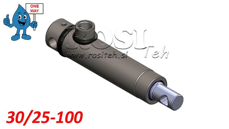 HYDRAULISK SYLINDER MONO 30/25-100