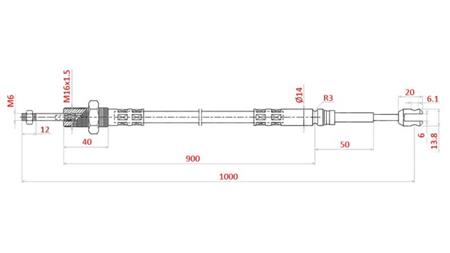 BRAID L=1000 - forks